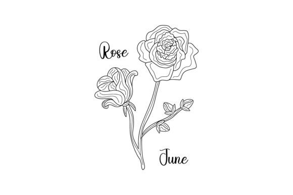 Birth Month Flowers: June Rose Line Art